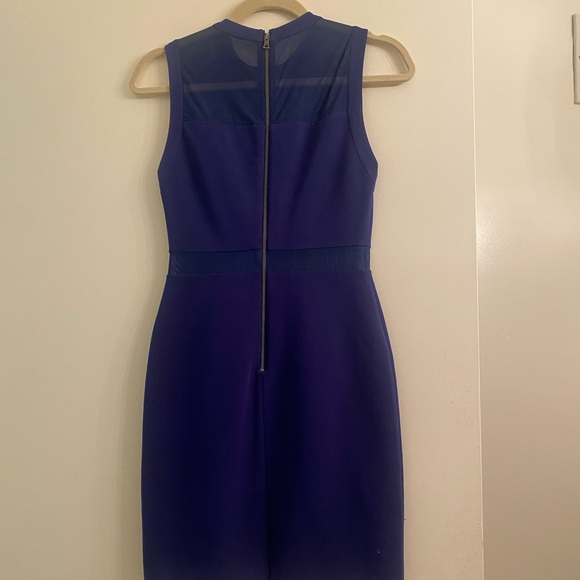 Alice + Olivia Karman Sheer Inset Dress - Picture 9 of 10